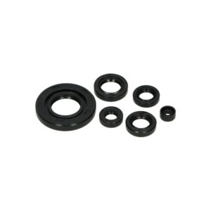 Revisieset compleet incl. blok - Lagerset/olie/pakkingset/keerringset (luchtkoeling) - Afbeelding 14