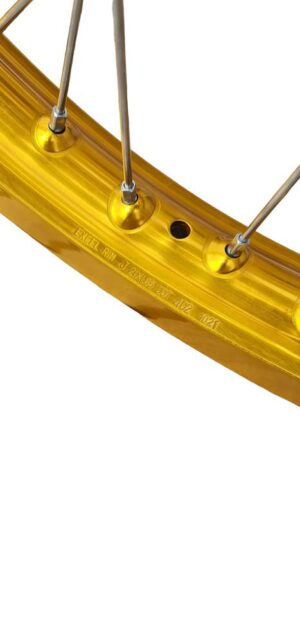 Spaakset – 17″ – Voor Excel Takasago Rim Gold 17×2,50 velg
