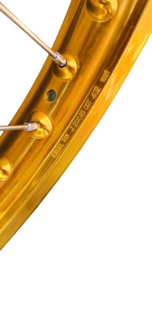 Spaakset – 17″ – Voor Excel Takasago Rim Gold 17×2,50 velg