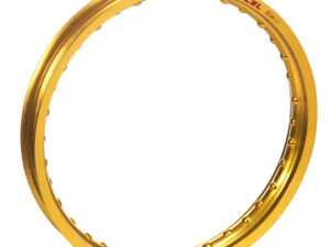 Spaakset – 17″ – Voor Excel Takasago Rim Gold 17×2,50 velg