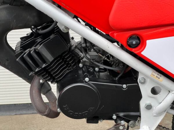 Honda MT5 Special Nardo Grey NIEUW! - Afbeelding 41