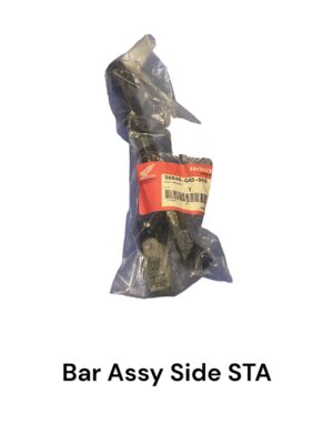 Zijstandaard