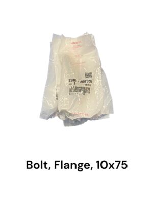 Bout, flens - 10x75mm