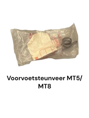 Voorvoet, steunveer