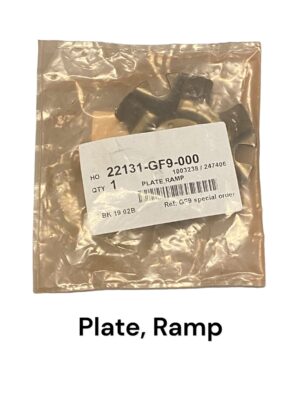Plaat, ramp