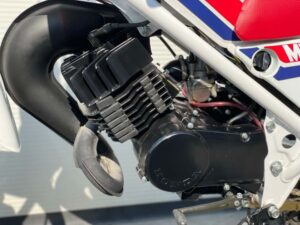 Honda MT8 (HD02) 30-06-1981 - Afbeelding 24