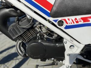Honda MT5 AD01 (1981) - Afbeelding 10