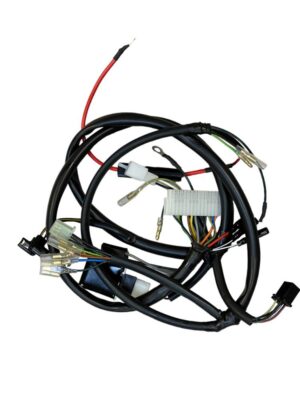 Kabelboom / Draadboom / Wire Harness Honda MTX50 SH AD09